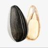 Buy cheap Amazon hot sale Wholesale best Quality China Manufacturer Sunflower seeds 363 from wholesalers