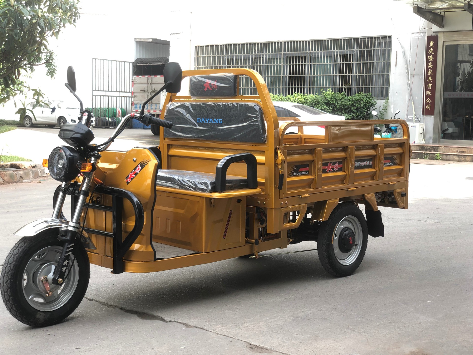 Customized Color Adults 3 Wheel Electric Tricycle with 72V Motor Power and 3.75-12 Tire
