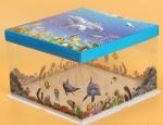 Disposable Clear/transparent Sandwich/cake Plastic Food Container/box/packaging