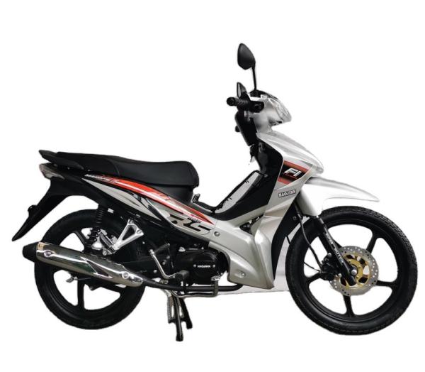 EPA gas oem EEC 4 stroke Lifan ZS engine Wholesale Cheap ZS Engine 110CC