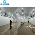 Production 75mm/100mm/120mm/150mm Cold Room Insulation Panel for Refrigerant