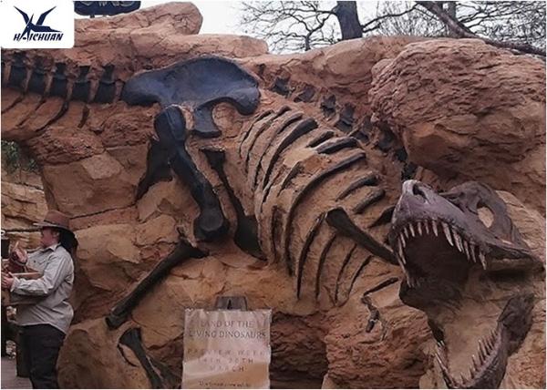 Buy cheap Handmade Museum Dinosaur Skeleton Replica For Outdoor Decoration Warranty 1 Year from wholesalers