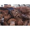 Buy cheap Handmade Museum Dinosaur Skeleton Replica For Outdoor Decoration Warranty 1 Year from wholesalers