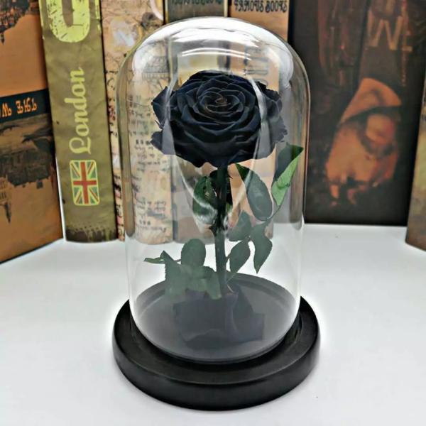 Buy cheap Wholesale Rose Preserved Flower in Glass Dome Flower for Valentines Day from wholesalers