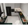 Buy cheap Timeless Stainless Steel Kitchen Cabinet With Dark Green Quartz Countertop And Raised Panel Doors from wholesalers