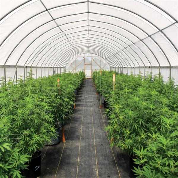 Buy cheap 300 Sq Meters Breathable Light Deprivation Greenhouse With Blackout System from wholesalers