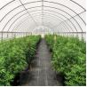 Buy cheap 300 Sq Meters Breathable Light Deprivation Greenhouse With Blackout System from wholesalers