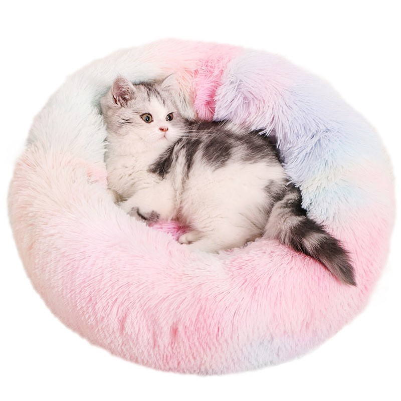 rainbow dog bed