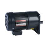 100w 0.125hp Electric Motor Gearbox 18mm Shaft 3 Phase 220v 380v