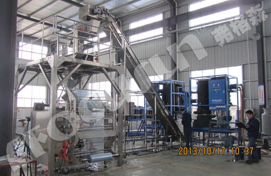 Efficiently Pack 5000kg Tube and Cube Ice with Fully-Automatic Ice Packing Machine