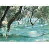 Buy cheap Hdpe Anti UV Olive Harvesting Nets , Agriculture Fruit Collecting Net from wholesalers