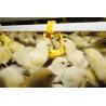 Buy cheap Safety Organic Acid Acidifiers In Animal Nutrition Improve Health from wholesalers