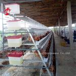 3.5mm 3 Tiers 4 Tiers Poultry Battery Cage System 20 Years Lifespan In Nigeria