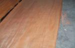 Rotary Cut Yellow Okoume Face Veneer , 0.20 mm - 0.60 mm Thickness