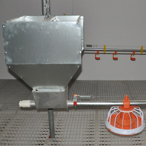 Quality Complete Auto Broiler Poultry Farm System For Chicken Water for sale