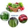 Buy cheap Customized Transparent Vegetable Bags Multiple Specifications With Air Holes from wholesalers