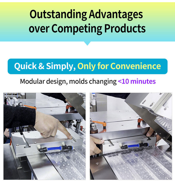 PVC Blister Packing Machine High Speed Forming for Tablet Capsule with Servo Motor