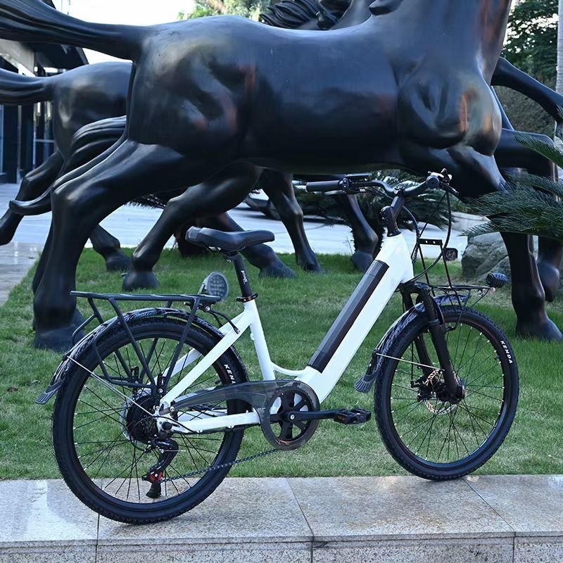 Ladies Step Thru Electric City Bike 36V 11Ah 7 Speed 26" / 24" Electric Bicycle