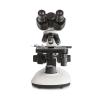 Buy cheap 40X - 1000X Compound Optical Microscope / Binocular Biological Microscope from wholesalers