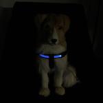 Rechargeable Sport LED Dog Harness Soft With Battery Flashlight