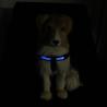 Buy cheap Rechargeable Sport LED Dog Harness Soft With Battery Flashlight from wholesalers