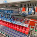 High Automation Glass Bottle Carton Packers with 5-15 Packs per Minute Speed for