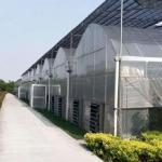 Multi-Span Juxiang Hydroponic System Humidity Greenhouse for Flowers Return