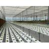 Buy cheap Commercial Soilless Culture Hydroponics NFT PVC Pipe Tube System For Lettuce from wholesalers