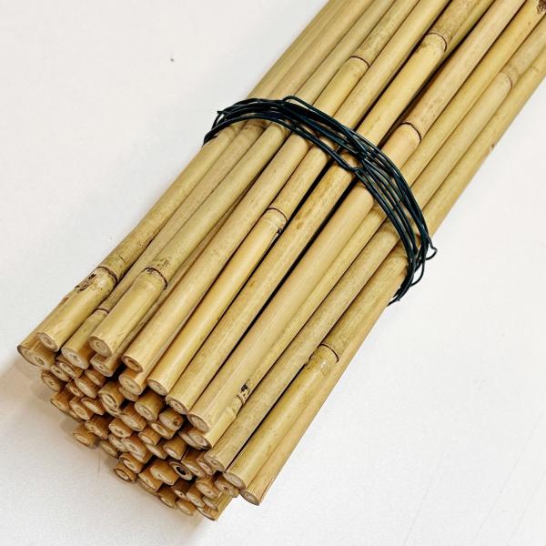 Natural Bamboo Plant Support Stakes for Indoor Plants, Bamboo Sticks Poles