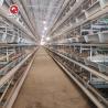 Buy cheap Stainless Steel Layer Poultry Farm Cage H type 54 birds / set from wholesalers