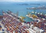 Flexible Transportation DDP Shipping From China To UK