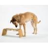 Buy cheap OEM ODM Personalized Pet Bowls Ceramic Elevated Dog Bowls Eco Friendly from wholesalers