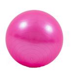 Gravity Heavy Duty Exercise Ball 75cm