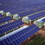 Roof Greenhouse Solar System Photovoltaic Structure Q235 Q345 1.4KN/M2 Max Snow
