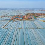 Commercial Greenhouse Solar System Electric Power Galvanized Surface Treatment