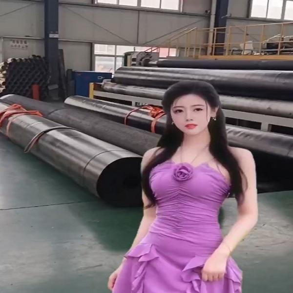 Direct Supply 0.2mm-3mm HDPE Geomembrane Liners for Aquaculture Fish and Shrimp