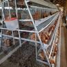 Buy cheap Q235A Egg Layer Chicken Cages For 5000 Birds Poultry Layer Farming Equipment from wholesalers