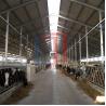 Buy cheap Modern Light Steel Frame Horse Barns , Steel Structure Building Cattle Shed from wholesalers
