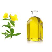 Buy cheap 100% Pure Healthy Edible Oil Evening Primrose Oil Food Grade Original Flavor product