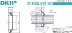 DKH Wiper Seal