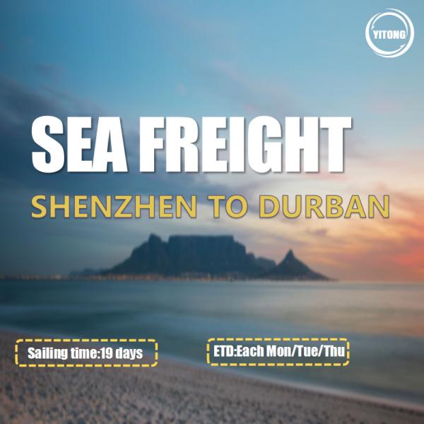 3 Shifts / Week Worldwide Sea Freight From Shenzhen To Durban South Africa