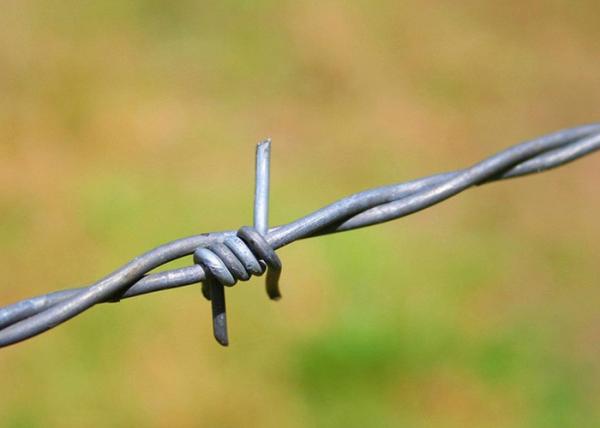 Buy cheap Use Of Prison Walls Single Strand Stainless Steel Barbed Wire Price Per Roll from wholesalers