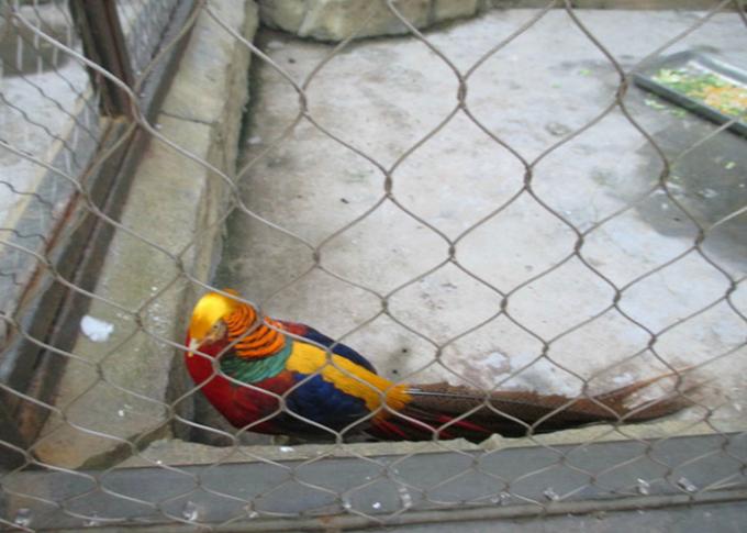 Knotted And Ferruled Type Stainelss Steel Wire Rope Aviary Wire Mesh Zoo Project 1