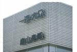 OEM Expanding Wire Mesh / Decorative Perforated Metal Panels 0.5mm Thickness
