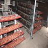 Buy cheap 4 Layers 2mm Battery Cage Poultry Egg Collection System ISO9001 Certificated from wholesalers