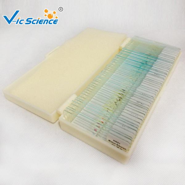 Buy cheap Specimen Biological 50pcs Microscope Glass Slides Set from wholesalers