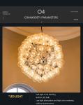 Nordic creative bubble chandelier living room model room restaurant Taraxacum