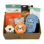 Yummy Treats Personalized Dog Toy Box Festive Holiday Themed