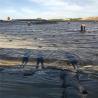 Buy cheap 10-50 Years Lifespan Geomembrane HDPE 1mm Durable and Waterproof for Landfill Project from wholesalers