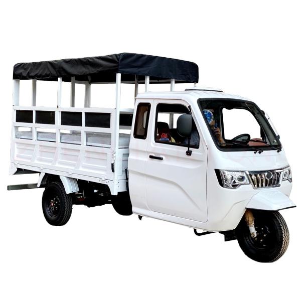 Custom Color Body Overall Frame 800cc Car Engine Motorcycle Tricycle for Adult 3